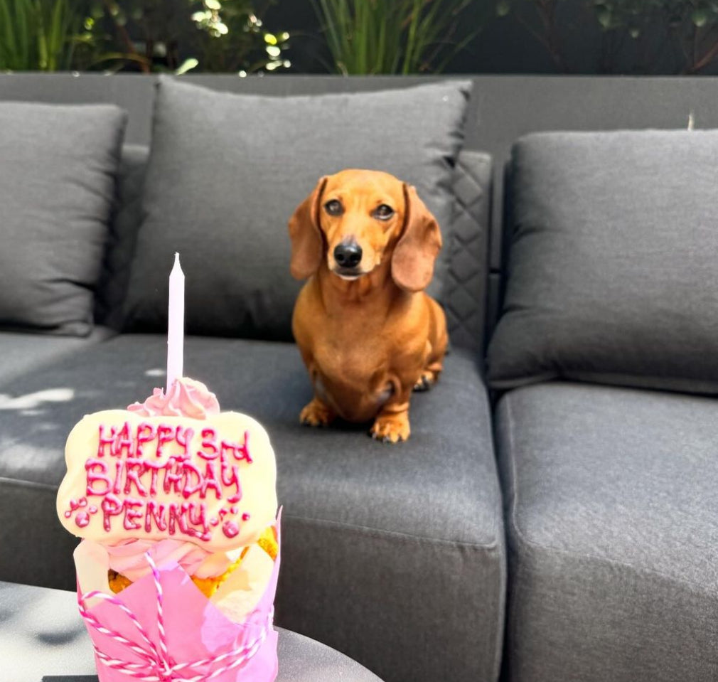 Penny