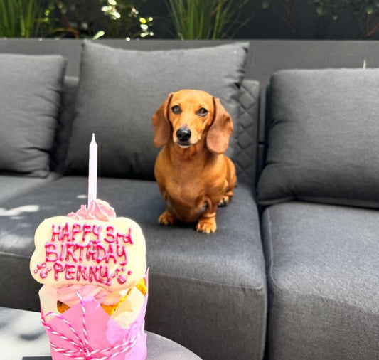 Penny